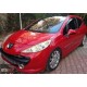 PEUGEOT 207- 06/09; ÖN TAMPON PANJURU ÜST NİKELAJLI (IZGARA) (3 KAPI SPORT) (TYG) - Yedek Parça | Parça Dükkanda