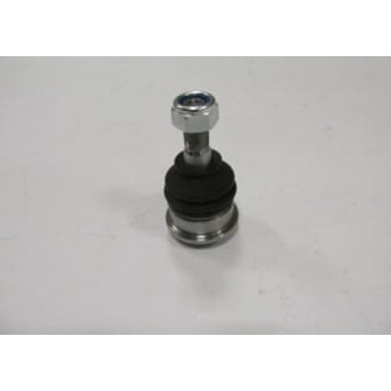 NISSAN PRIMERA- P12- 03/08; ALT ROTİL SAĞ/SOL AYNI (ADET)(SH) - Yedek Parça | Parça Dükkanda