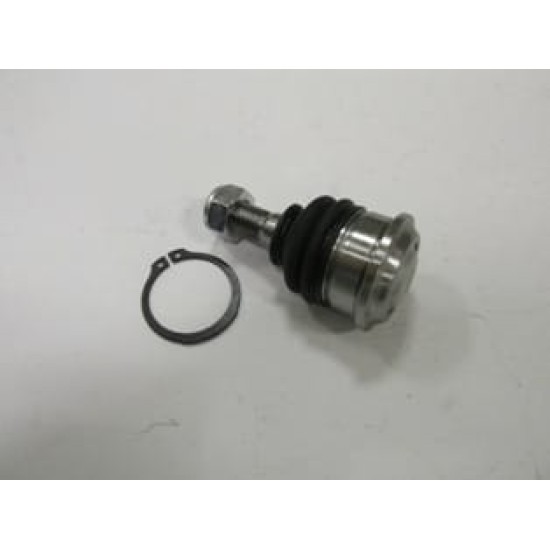 NISSAN PRIMERA- P12- 03/08; ALT ROTİL SAĞ/SOL AYNI (ADET)(SH) - Yedek Parça | Parça Dükkanda