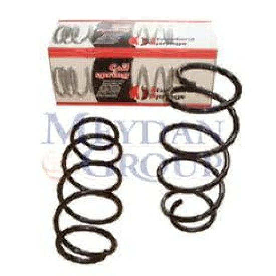 FORD FIESTA- 02/07; ÖN HELEZON YAYI SAĞ/SOL (2Lİ SET)1.4/1.6 16V (11,25X140X363)(STDR) - Yedek Parça | Parça Dükkanda